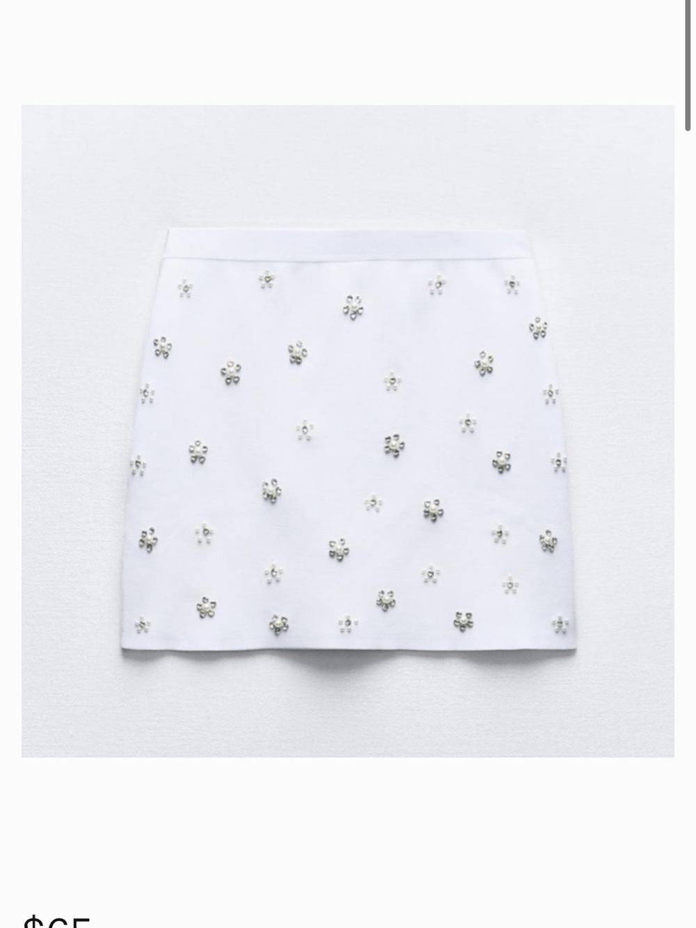 NWT Zara embellished skirt